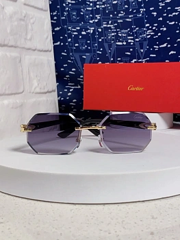 Очки Cartier 13135684