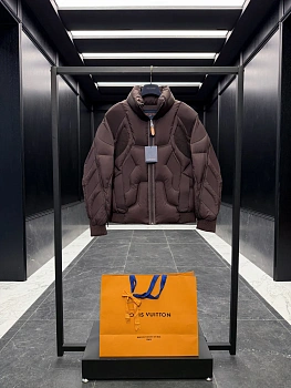 Куртки Мужские Louis Vuitton 243785