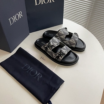 Шлепанцы Мужские Christian Dior 21147