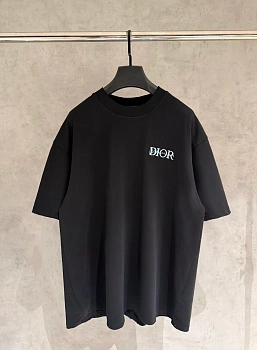 Футболки Мужские Christian Dior 12188528