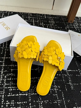 Шлепанцы Женские Christian Dior 11701927