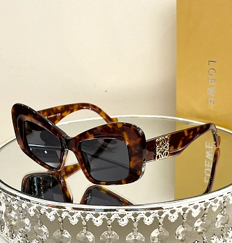 Очки Loewe 25049