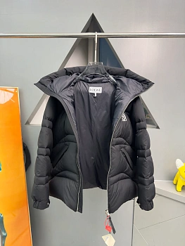 Куртки И Пуховики Мужские Loewe 375421