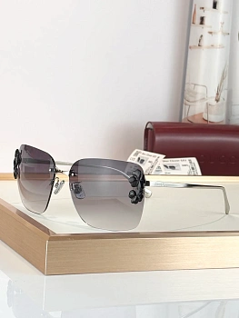 Очки Christian Dior 13257204