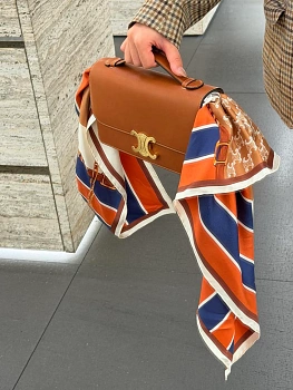 Классические Сумки Женские Celine 12849453