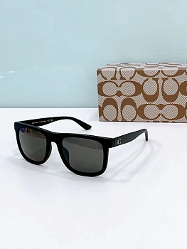 Очки Coach 231863