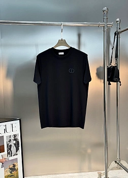 Футболки Мужские Christian Dior 119181