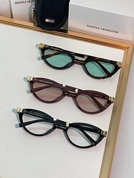 Очки Gentle Monster 6505519
