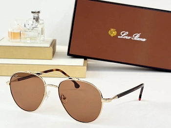 Очки Loro Piana 12564444