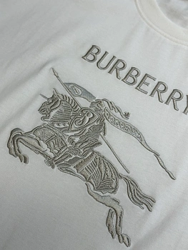Футболки Мужские Burberry 5067122