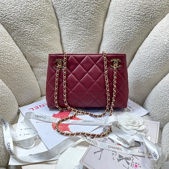Классические Сумки Женские Chanel 11869004