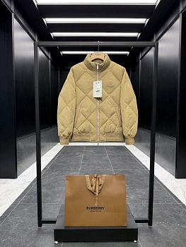 Куртки И Пуховики Мужские Burberry 509943