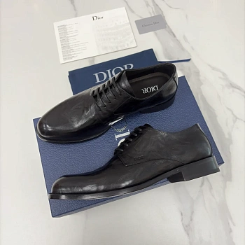 Лоферы И Туфли Мужские Christian Dior 530792