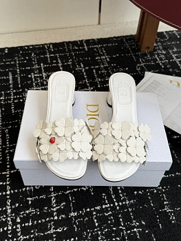 Шлепанцы Женские Christian Dior 13570919