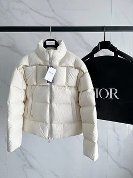Куртки И Пуховики Мужские Christian Dior 282827