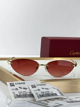 Очки Cartier 1898273