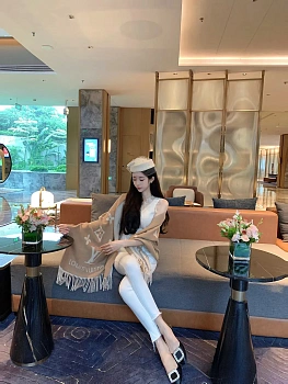 Шарфы Louis Vuitton 1848