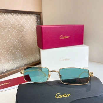 Очки Cartier 6384