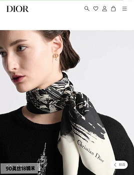 Шарфы Christian Dior 12079