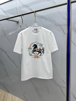 Футболки Мужские Christian Dior 1012211