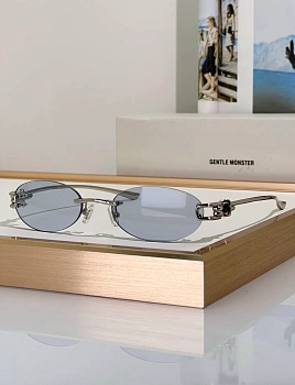 Очки Gentle Monster 13169276