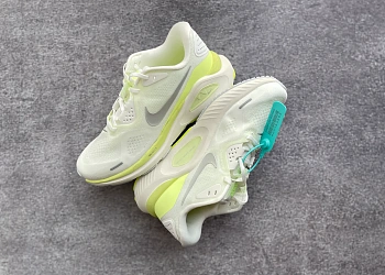 Кроссовки Женские Nike 353666