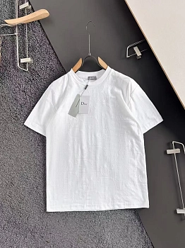 Футболки Мужские Christian Dior 13567040