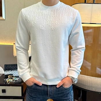 Свитшоты И Худи Мужские Christian Dior 1032037