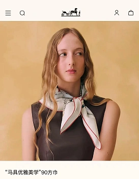 Платки Hermes 13119763