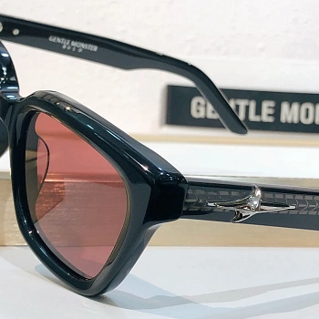 Очки Gentle Monster 5844138