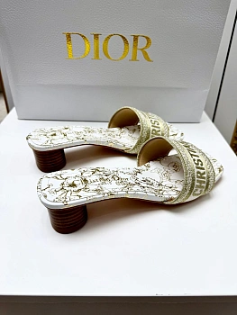 Тапочки Женские Christian Dior 12879953