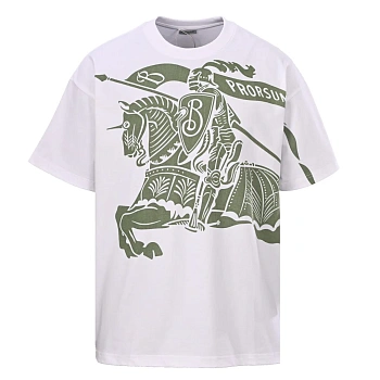 Футболки Мужские Burberry 13381304