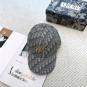 Головные Уборы Christian Dior 10776531