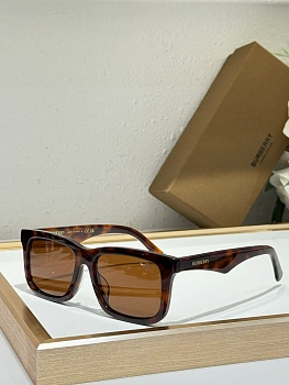 Очки Burberry 4994393