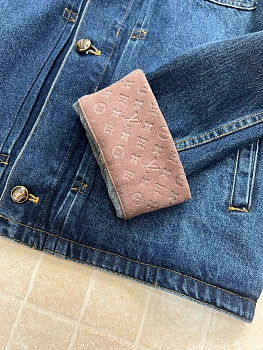 Куртки И Пуховики Мужские Louis Vuitton 12331889