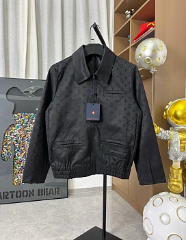 Куртки И Пуховики Мужские Louis Vuitton 1211393