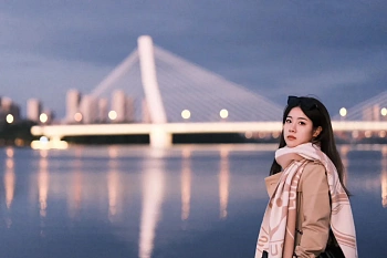 Шарфы Louis Vuitton 1141