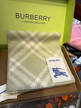 Шарфы Burberry 3874284