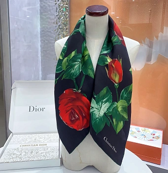 Шарфы Christian Dior 25855