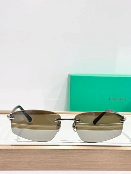 Очки Tiffany 5844200