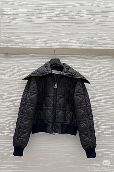 Куртки И Пуховики Женские Christian Dior 1352091