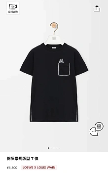 Футболки Женские Loewe 13551081