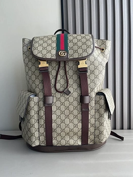 Рюкзаки Женские Gucci 10270702
