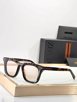 Очки Zegna 199759