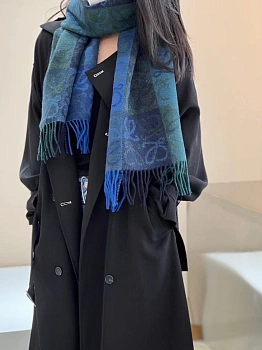 Шарфы Loewe 789792