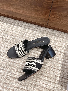 Босоножки Женские Christian Dior 11600084