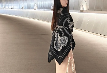 Шарфы Hermes 874161