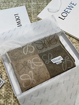 Шарфы Loewe 702871