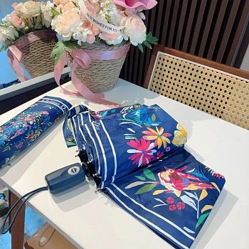 Зонты Christian Dior 838576