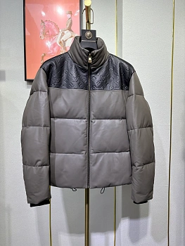 Куртки И Пуховики Мужские Louis Vuitton 608148